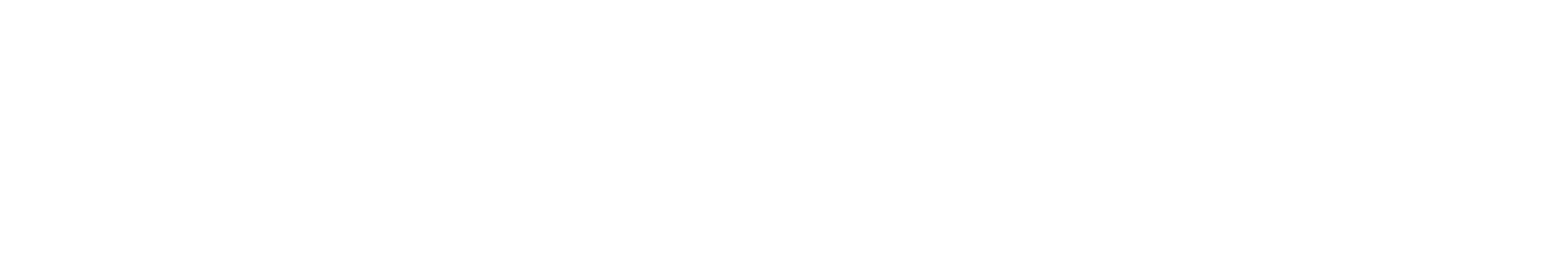 A RAYKAST product